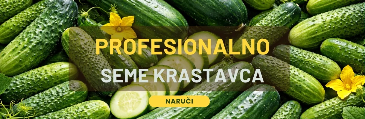krastavac