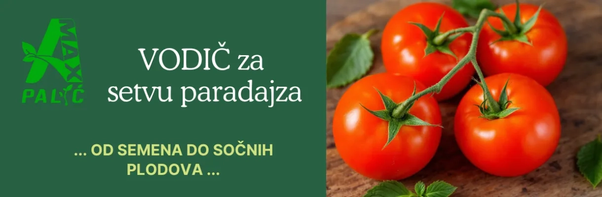 setva paradajza