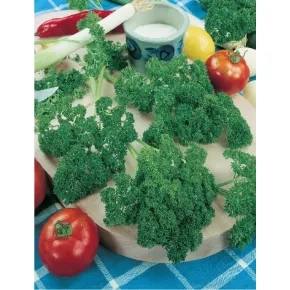 Peršun lišćar Astra 100g