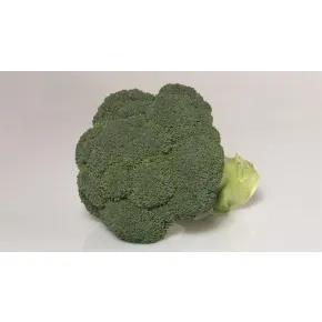 Brokoli Covina F1 (precizna setva)