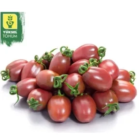 Paradajz Purpurina F1 Paradajz Purpurina F1