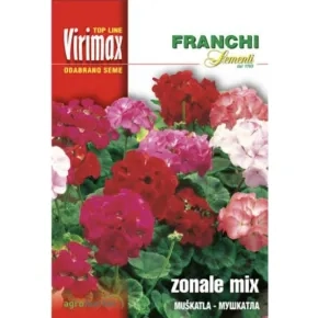 Muškatla (Geranium Pelargonium)