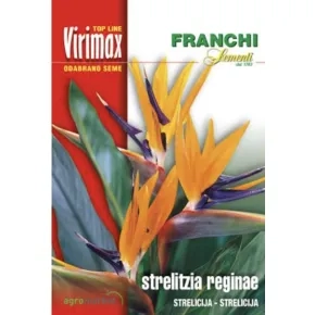 Cveće STRELICIJA-GRANDE REGINAE Virimax