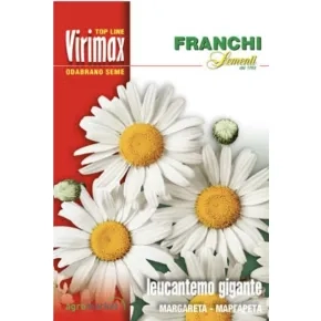 Cveće MARGARETA-GIGANTE BIANCO Virimax