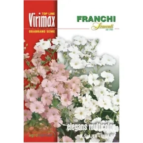 Cveće ŠLAJER-GYPSOPHILA ELEGANS Virimax