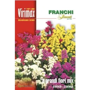 Cveće STATICE-GRANDI FIORI MIX Virimax
