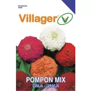 Cveće CINIJA NISKA-NANA POMPON MIX Villager