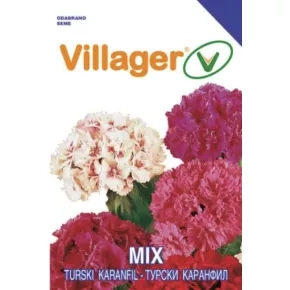 Cveće TURSKI KARANFIL-GAROFANO POETI MIX Villager Cveće TURSKI KARANFIL-GAROFANO POETI MIX Villager