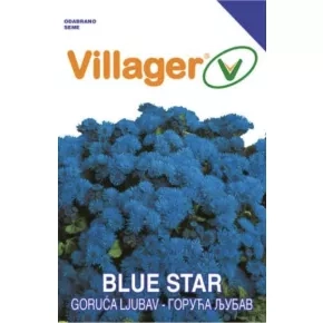 Cveće GORUĆA LJUBAV-BLUE STAR Villager Cveće GORUĆA LJUBAV-BLUE STAR Villager