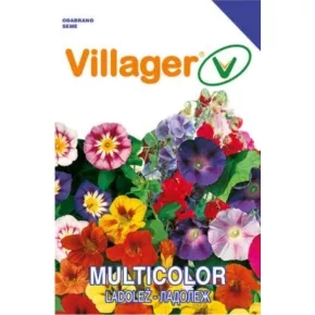 Cveće LADOLEŽ-RAMPIČANTI MIX Villager