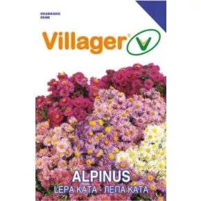 Cveće Lepa Kata Alpinus mix Villager