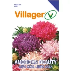 Cveće LEPA KATA-AMERICAN BEAUTY MIX Villager