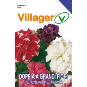 Cveće PETUNIJA GRANDI FIORI MIX Villager