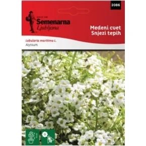 Cveće MEDENI CVET/SNEŽNI TEPIH 2086 