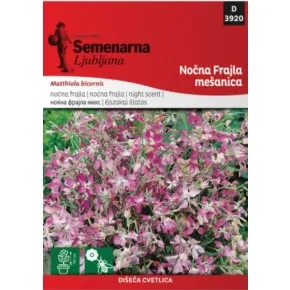 Cveće NOĆNA FRAJLA 3920