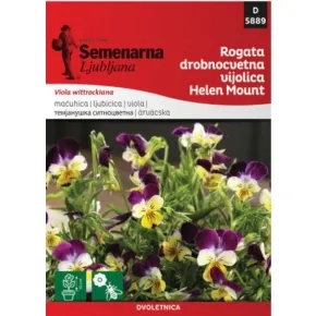 Cveće SITNOCVETA LJUBIČICA 5889