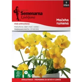 Cveće DAN I NOĆ ŽUTI 5720/5