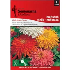 Cveće CINIJA KAKTUSNA MIX 5901