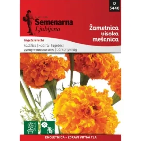 Cveće KADIFA VISOKA MIX 5440