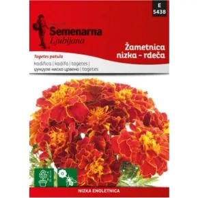 Cveće KADIFA NISKA CRVENA 5438