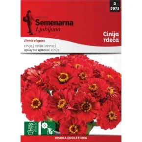 Cveće CINIJA elegantna CRVENA 5973