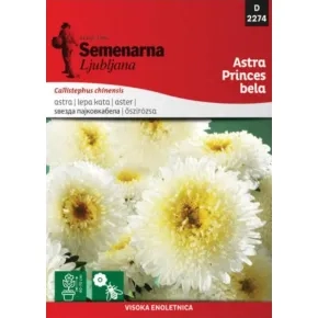 Cveće LEPA KATA PRINCES BELA 2274