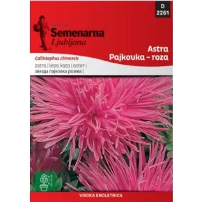 Cveće LEPA KATA PAJKOVKA ROZA (Zvezda Pink) 2261