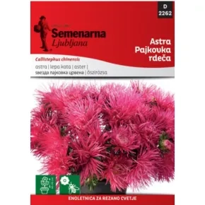 Cveće LEPA KATA PAJKOVKA CRVENA (zvezda crvena) 2262