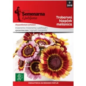 Cveće HRIZANTEMA 2818