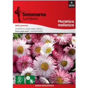 Cveće BELA RADA 2570