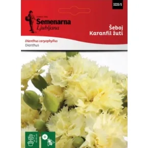 Cveće ŠEBOJ KARANFIL ŽUTI 3225/5