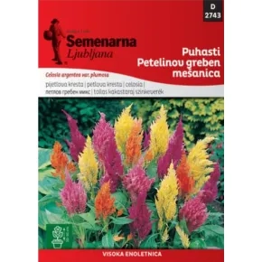 Cveće PETLOVA KRESTA MIX - PAPERJASTA 2743 