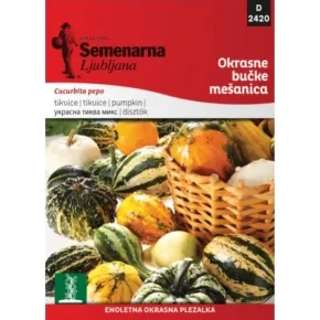 Cveće UKRASNE TIKVICE MIX 2420