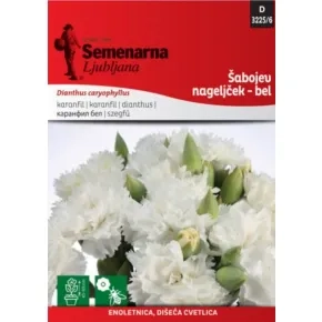 Cveće ŠEBOJ KARANFIL BELI 3225/6