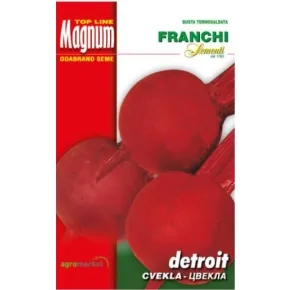 Cvekla Detroit 20 g MGM