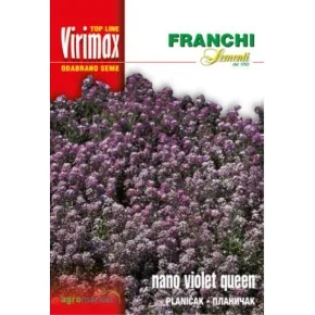 Cveće PLANIČAK LJUBIČASTI (VIOLET QUEEN) Virimax