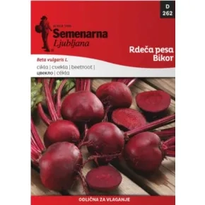Cvekla Bikor 4 g 262