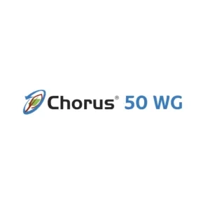 Chorus 50 WG