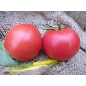 Seme paradajza MI-10 F1 – 150 semena