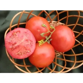 Seme paradajza Balkan F1 – 150 semena