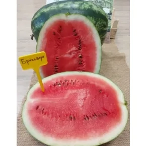 Lubenica Bryxberry - 250 semena