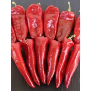 Seme paprike KG 2025 F1