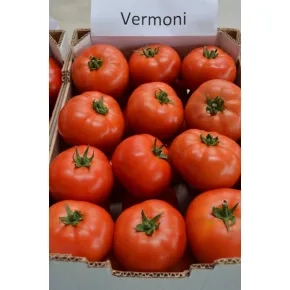 Seme paradajza Vermoni ez F1 - 500 semena Seme paradajza Vermoni ez F1 - 500 semena