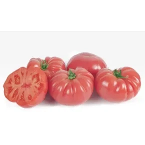 Seme paradajza Vermilenza ez F1 - 500 semena