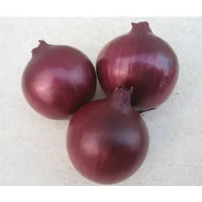 Luk Fiamma F1 - 250 000 semena