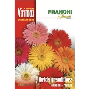 Cveće GERBER-MULTICOLOR Virimax