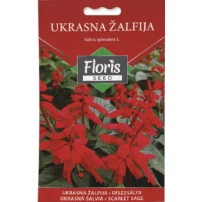 Cveće Ukrasna Žalfija (Salvija) 0,3g Floris Cveće Ukrasna Žalfija (Salvija) 0,3g Floris