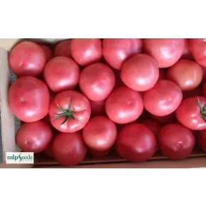 Seme pink paradajza Pink Wave F1