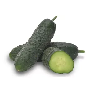 Krastavac kornišon Brutus F1