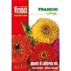 Cveće CINIJA VISOKA-CALIFORNIA MULTICOLOR Virimax